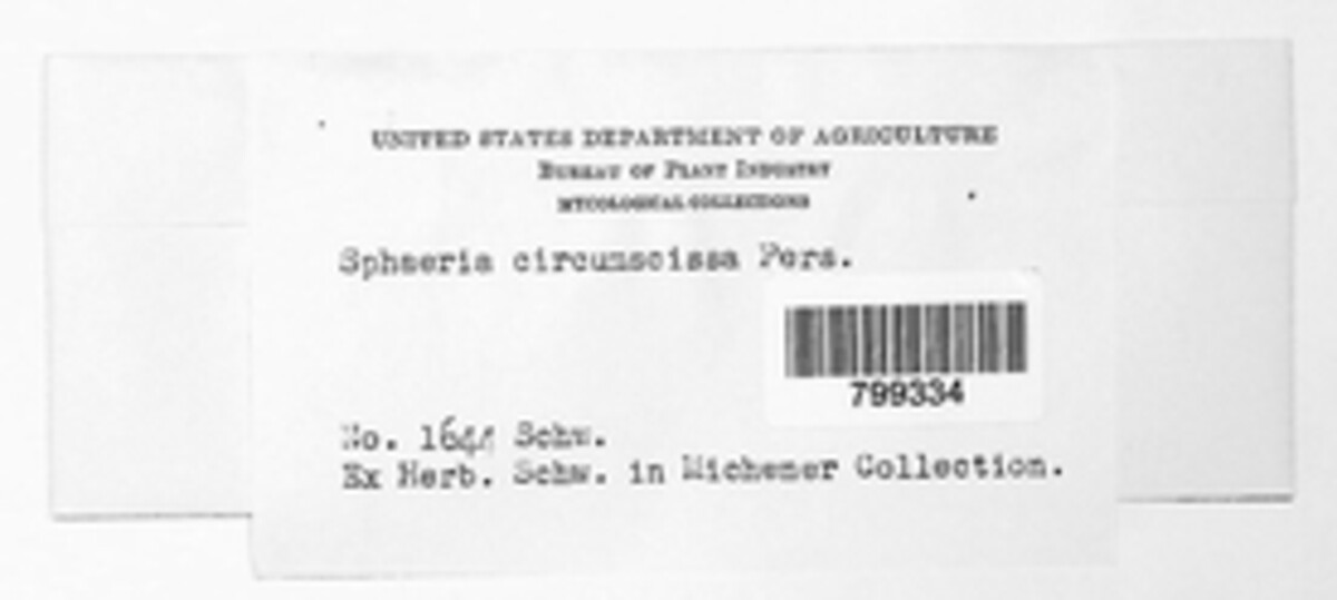 Hercospora circumscissa image